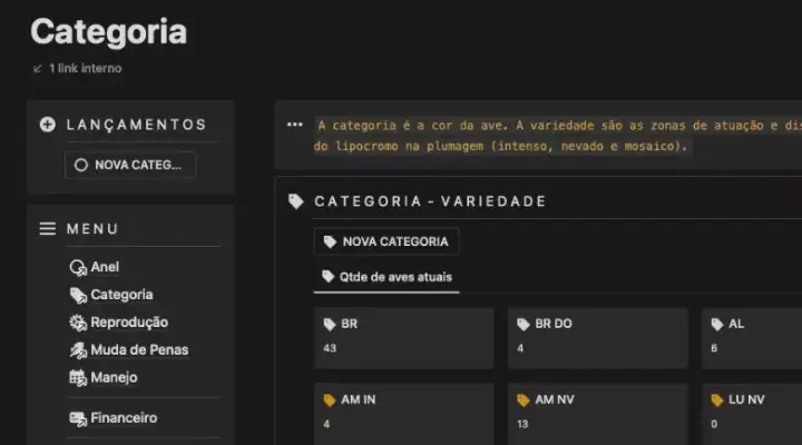 Categoria
